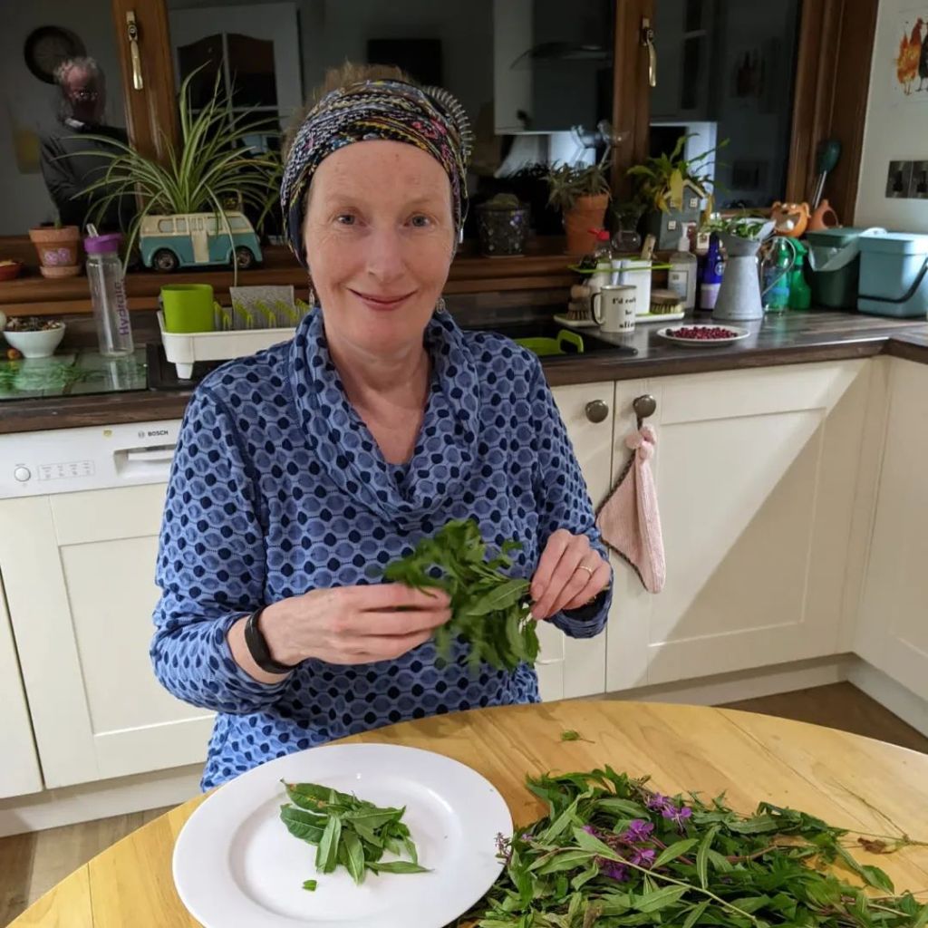 Fermented Rosebay Willowherb Tea: A Nutritious and Flavourful&nbsp;Brew
